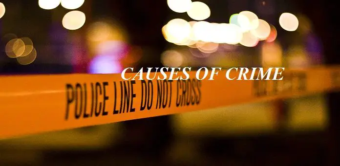 causes of crime