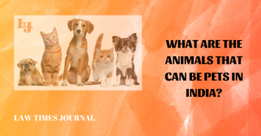 What are the animals that can be pets in India? - Law Times Journal