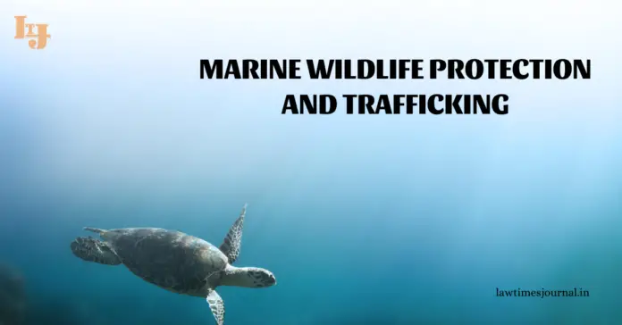 Marine wildlife protection and trafficking