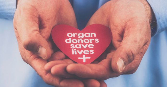 Donation of organs and tissue from live man dismissed by Allahabad HC