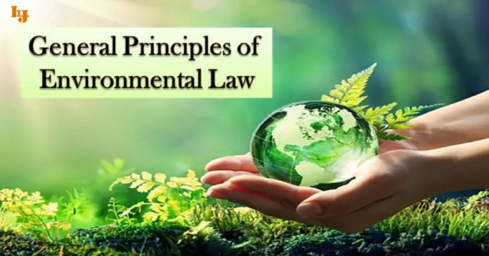 General Principles in Environment Law